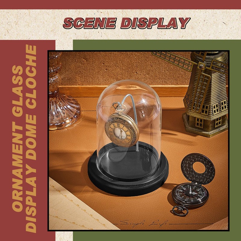 Beeveer 2 Pcs Pocket Watch Glass Display with Hooks Dome