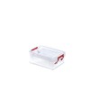 Whitefurze Allstore Container with Silver Clamp, Plastic, Natural, 0.3 Litre