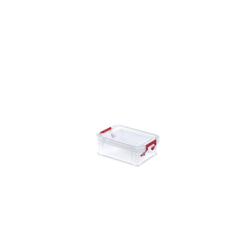 Whitefurze Allstore Container with Silver Clamp, Plastic, Natural, 0.3 Litre