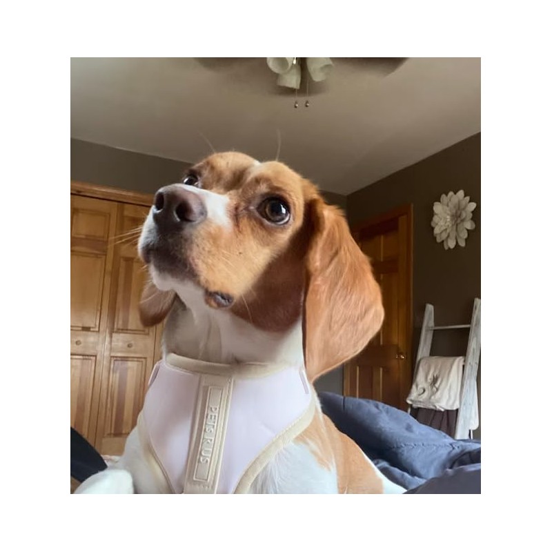 PETs R US Dog Harness Ivory Off White Neoprene Leather