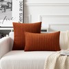 UGASA Fall Velvet 12x20 Inch Lumbar Soft Throw Pillow Covers