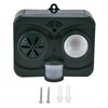 Ultrasonic Animal Repeller Waterproof Solar Bird Repellent Flashing Light for