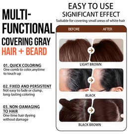 Hair Color Stick, 20g Black Root Hair Color Comb, Root Touch-Up Brush, Temporary Hair Concealer Stick with Comb for Gray Hair Coverage,Wash in Wash Out Hair Colour (BLACK)