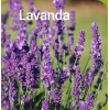 Caricia Aromatica Somni Granel 1 Lt Concilia Sueño Lavanda, Pasiflora,