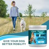 Dog Hip and Joint Support Supplement - Glucosamine Chondroitin, MSM,