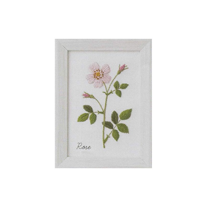 LECIEN 542006 Embroidery Kit, Kazuko Aoki 12 Months Botanical Book,