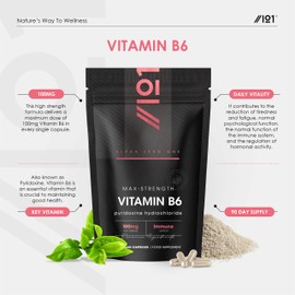 Vitamin B6 100mg – 90 Vegan Capsules – Max Strength Pyridoxine Hydrochloride – Resealable and Recyclable Pouch - by Alpha01
