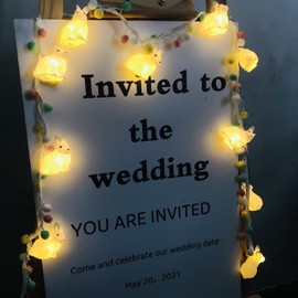 Cute Rabbit Night Lights Bunny Fairy String Lights Battery Operated Rabbit Lamp with Pompoms Tassel for Bedroom Christmas Easter Holiday Decortion (Rabbit+Pompoms Tassel)