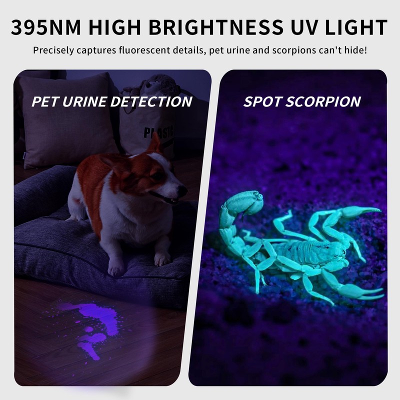 E-riding Black Light UV Light, 395nm Mini Powerful Rechargeable UV