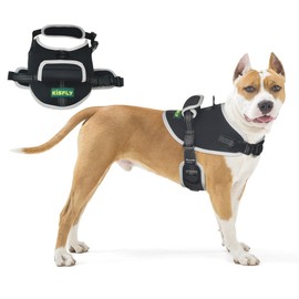 KISFLY Dog Harness, No Pull Dog Harness with Reflective, No Choke Pet Vest, Adjustable Soft Padded Dog Vest, Dog Walking and Training Harness, Medium Dog Harness with Handle, Black M
