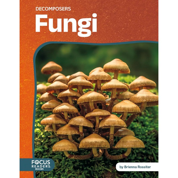 Fungi (Decomposers)