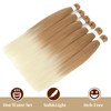 Pre stretched Braiding Hair 6 Packs Professional Braiding Hair Extensions