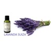 ACEITE ESENCIAL LAVANDA SUIZA, PURO GRADO TERAPEUTICO 15ML