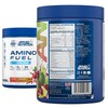 Applied Nutrition Amino Fuel - Amino Acids Supplement, EAA Essential