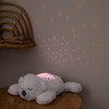 Nattou LED Night Light Koala Bear Starry Sky Projector 3