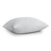 EDOW Throw Pillow Inserts, Set of 2 Lightweight Down Alternative
