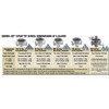 Wilger Teal Combo-Jet Extended Range Nozzle Spray Tip Rated 1.25