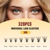 QUEWEL Lash Cluster Kit, 320pcs 3D Cluster Lashes Kit with