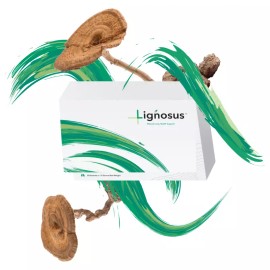 Lignosus | Natural Lung Health Support Supplement - 30 Sachets (1.5 Grams Net W)