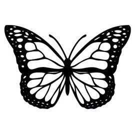 Fake Tattoo Butterfly - Temporalis® | Adult Temporary Tattoos - EU Certified Cosmetics, Vegan & Waterproof - Lasts 1 to 2 Weeks [Discreet Butterfly]