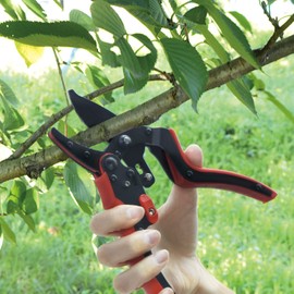 Takagi High Power Easy Cut Fluorine Blade Ratchet Pruning Shears 8 inches (200mm) Can Cut Up to Approximately 1 inch (25mm) in Diameter High Power Type New Anvil Mechanism Adopted, Step Receptacle