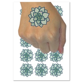 Succulent Plant Temporary Tattoo Water Resistant Fake Body Art Set Collection - 15 2" Tattoos (1 Sheet)