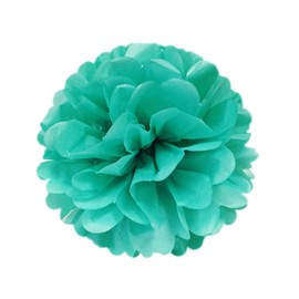 Wrapables A69799 Set of 32 Tissue Honeycomb Ball and Pom Poms Party Decorations for Weddings, Birthday Parties Baby Showers and Nursery Decor, Aqua/Light Pink/Gold/White
