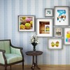 30M Picture Hanging Wire Picture Hooks Picture Hanging Hooks Picture