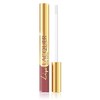 Eveline Cosmetics Lip Lacquer (402)