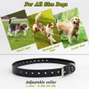 Petrainer Upgraded Model Rechargeable & Waterproof Remote Dog Training Collar
