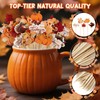 100 Fall Cocktail Picks, Thanksgiving Fancy Toothpicks for Appetizers Decor