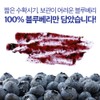 그레이스 블루베리 퓨레 100% 안토시아닌 스틱 홈쇼핑 14P, 280g, 1개