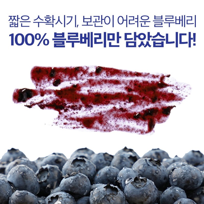 그레이스 블루베리 퓨레 100% 안토시아닌 스틱 홈쇼핑 14P, 280g, 1개