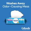 Cottonelle Flushable Wet Wipes for Adults, 2 Flip-Top Packs, 42
