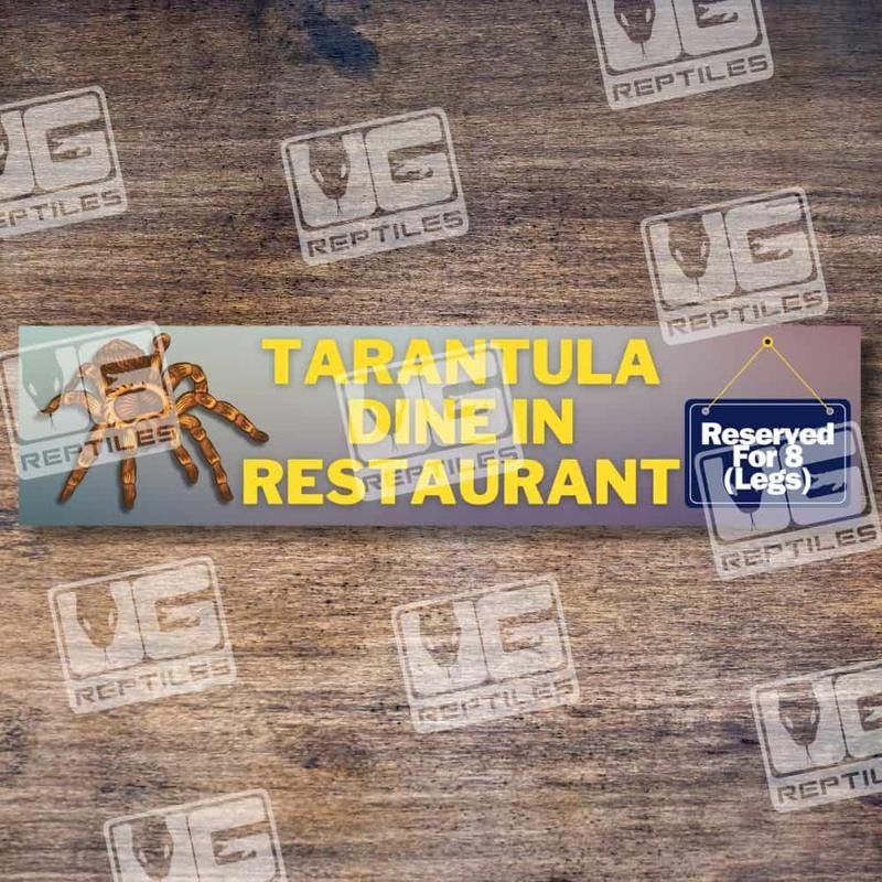 Reptile Tank Taggers - Options: Crested Gecko