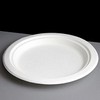 22cm (8.9") Large White Bagasse Plate - Fully Biodegradable & Compostable (Pack of 50)