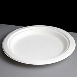 22cm (8.9") Large White Bagasse Plate - Fully Biodegradable & Compostable (Pack of 50)