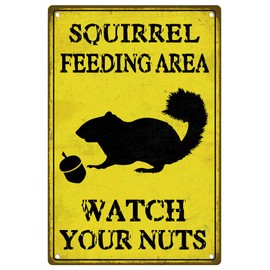 Squirrel Feeding Area Yard Decor Retro Funny Metal Tin Sign Wall Poster for Backyard Outdoor Decoration 12 X 8 Inch