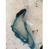 DO&G Max And Neo Teal Dog Collar Large