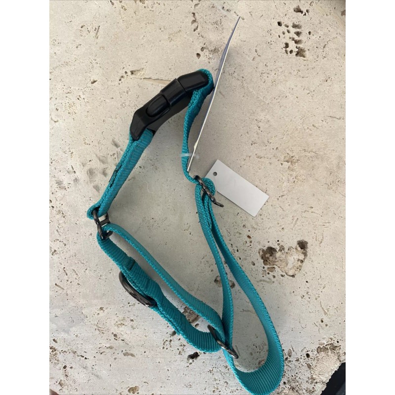 DO&G Max And Neo Teal Dog Collar Large