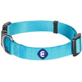Blueberry Pet 32 Colors Classic Dog Collar, Medium Turquoise, Large, Neck 18-26, Nylon Collars for Dogs                                               