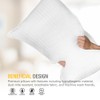 DreamNorth Premium Gel Pillow Loft (Pack of 2) Luxury Plush