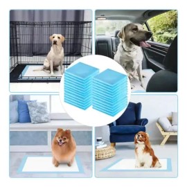 100 Pañales Tapete Entrenador Para Perro Almohadillas 33x45                                                                                           