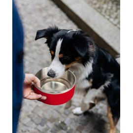 IKITCHEN Dog Bowl for Food and Water, 40 Oz Stainless Steel Pet Feeding Bowl, Durable Non-Skid Double Wall Insulated Heavy Duty with Rubber Bottom for Medium Large Dogs (40 Ounces/5 Cup, Red)