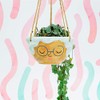 Sass & Belle Rose Hanging Planter