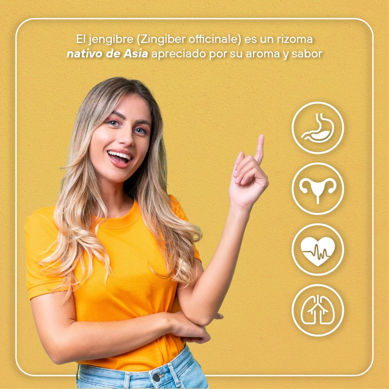 VIZANA NUTRITION | Jengibre Orgánico Certificado USDA en Polvo 200g