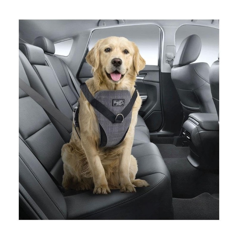 ALL FOR PAWS Travel Dog Harness for Safe Rides and