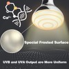 LUCKY HERP 125 Watt UVA+UVB Vapor Heat Lamp Bulb, High