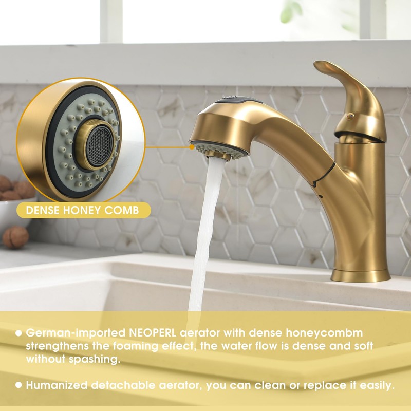 BRAVEBAR Gold Kitchen Faucet with Sprayer - Matte Brushed Gold