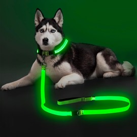 Colaseeme LED Dog Leash Light Up Dog Leash 6 Feet Micro USB Rechargeable Nylon Webbing Glow Safety Standard Dog Leashes for Dogs (Green)
